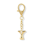 The Initial Charm